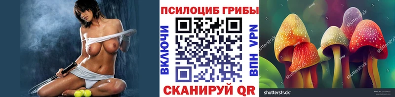 Псилоцибиновые грибы Magic Shrooms  Ессентуки 